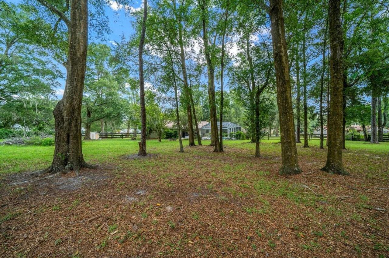 Listing Photo 47