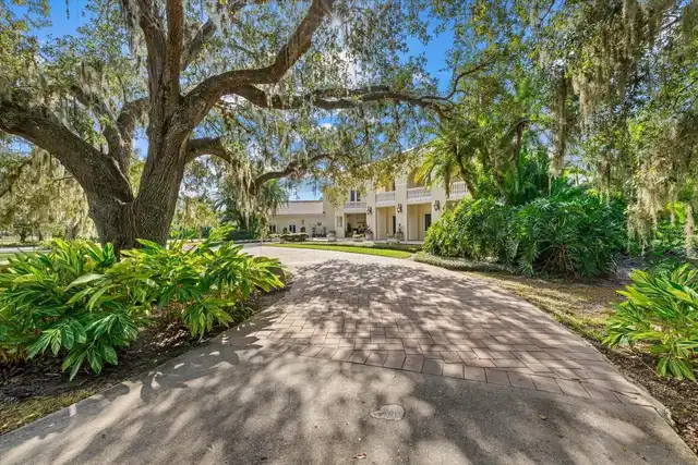 Listing Photo 82