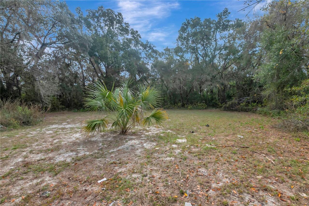 Listing Photo 33