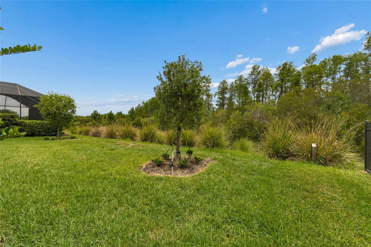 Listing Photo 99