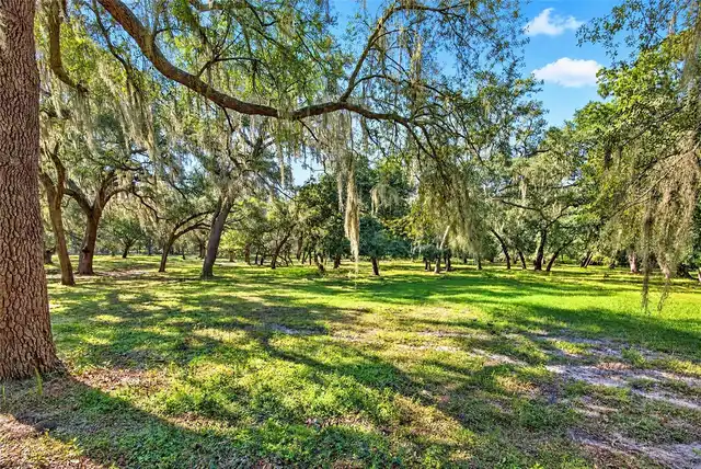 Listing Photo 83