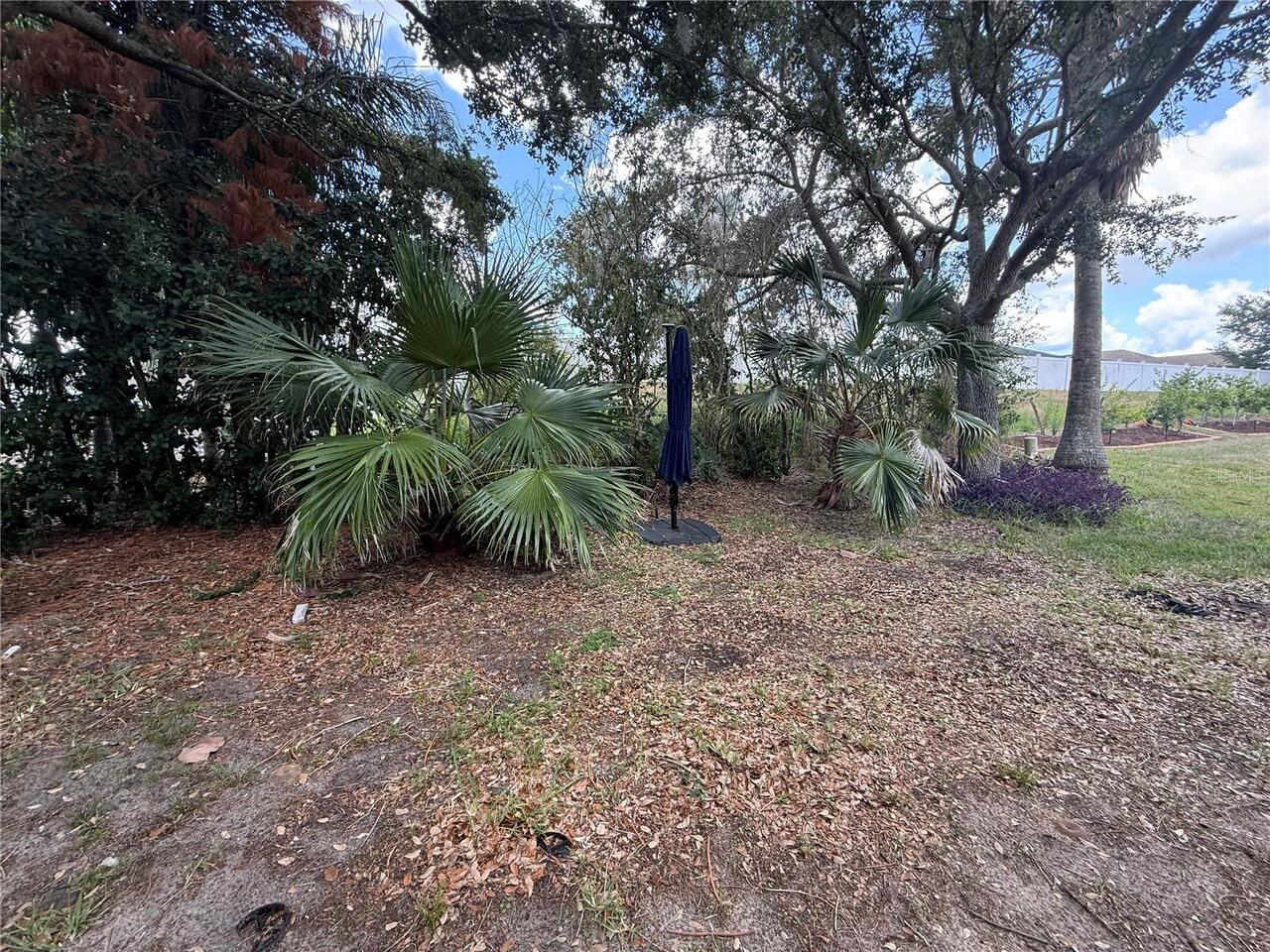 Listing Photo 20