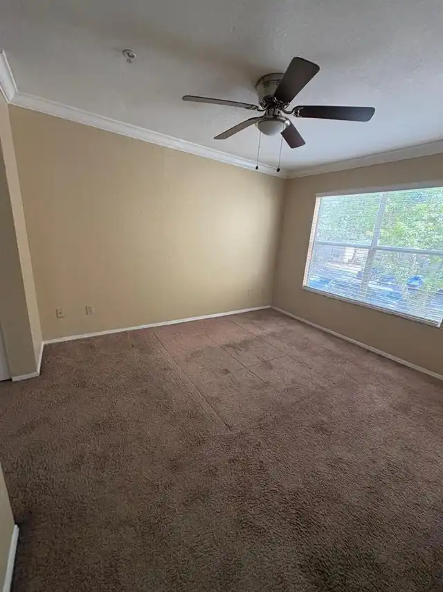 Listing Photo 20