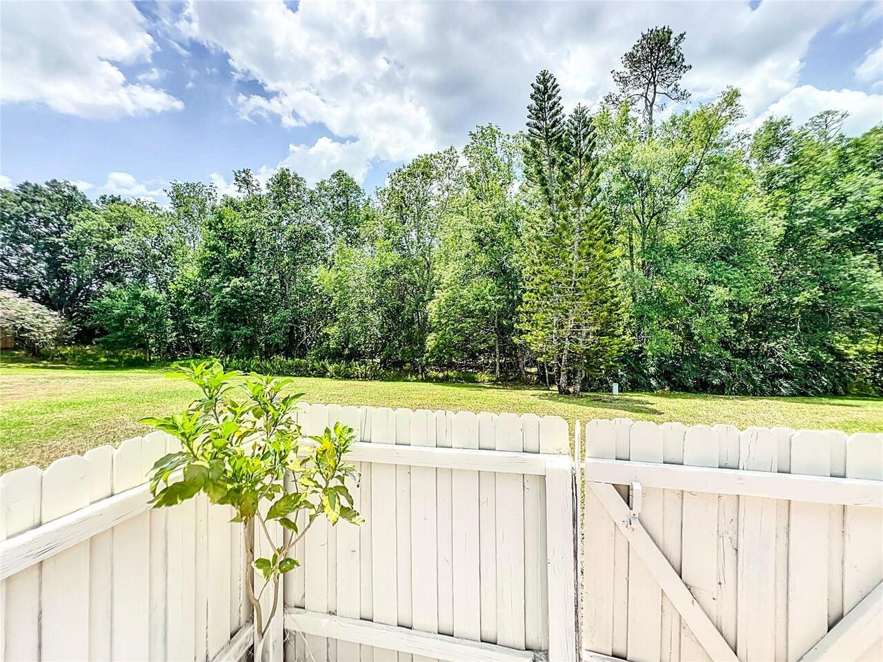 Listing Photo 56