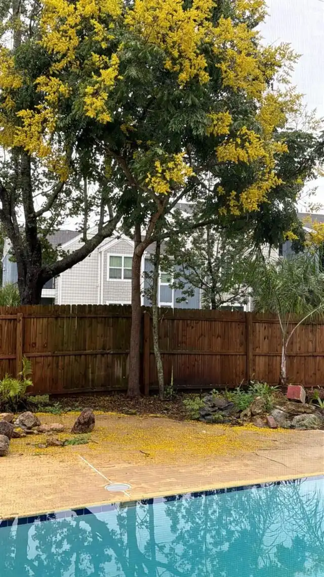 Listing Photo 28