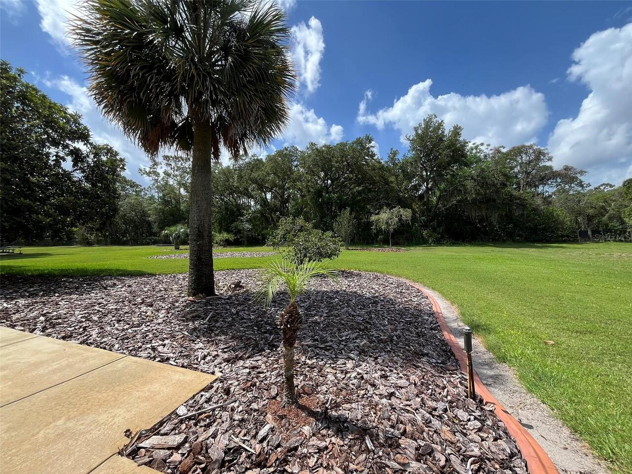 Listing Photo 52