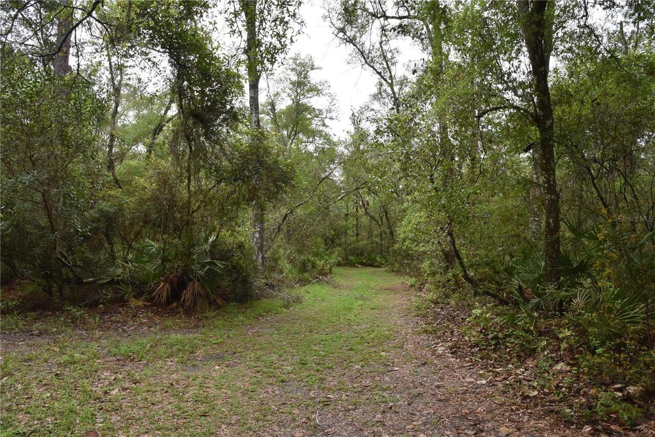 Listing Photo 74