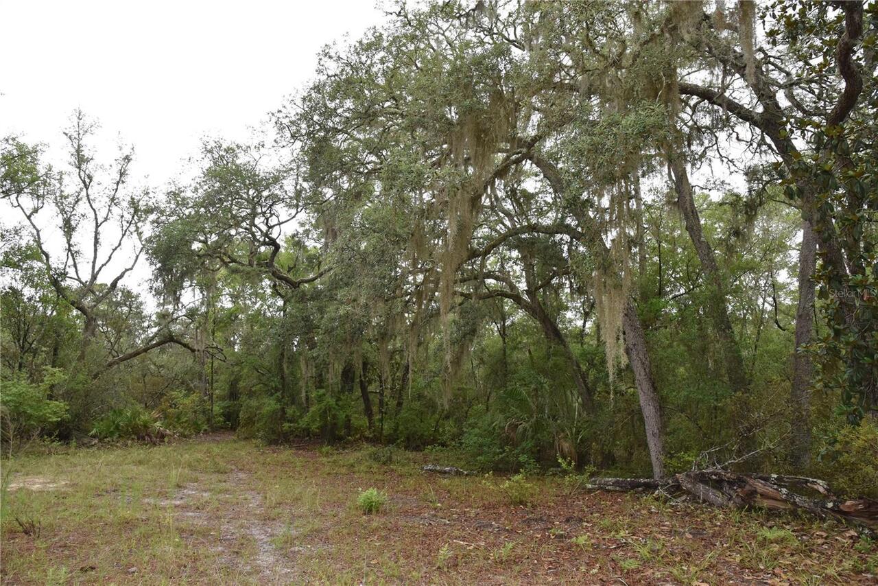 Listing Photo 76