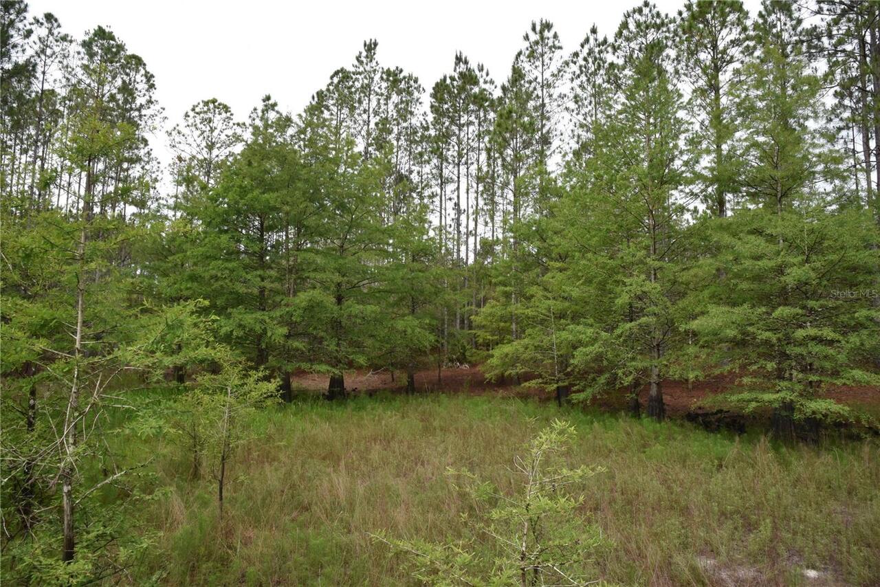 Listing Photo 81