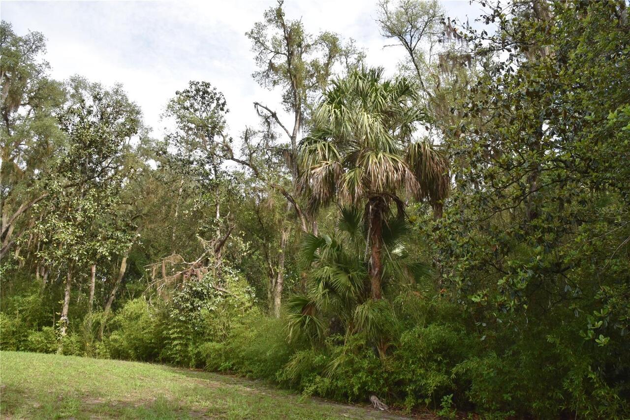 Listing Photo 85