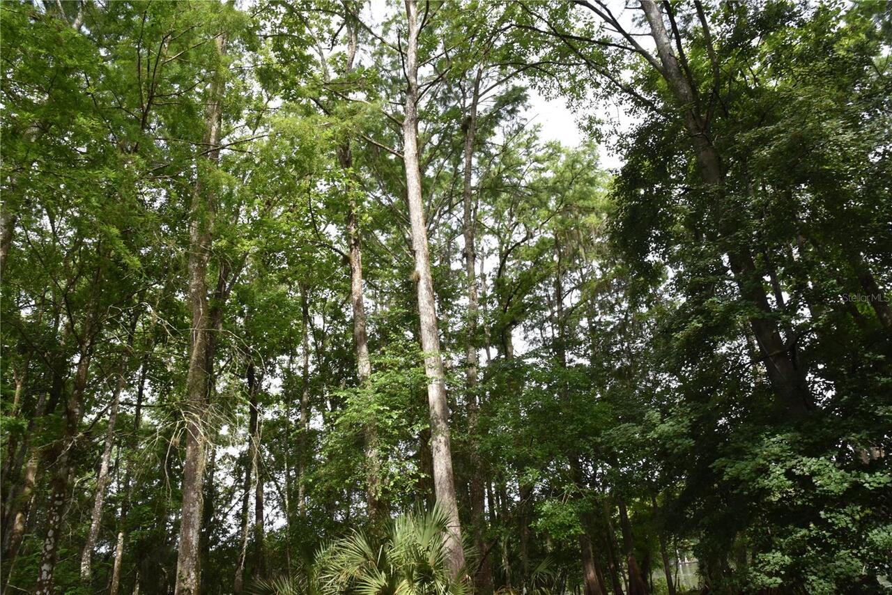 Listing Photo 88