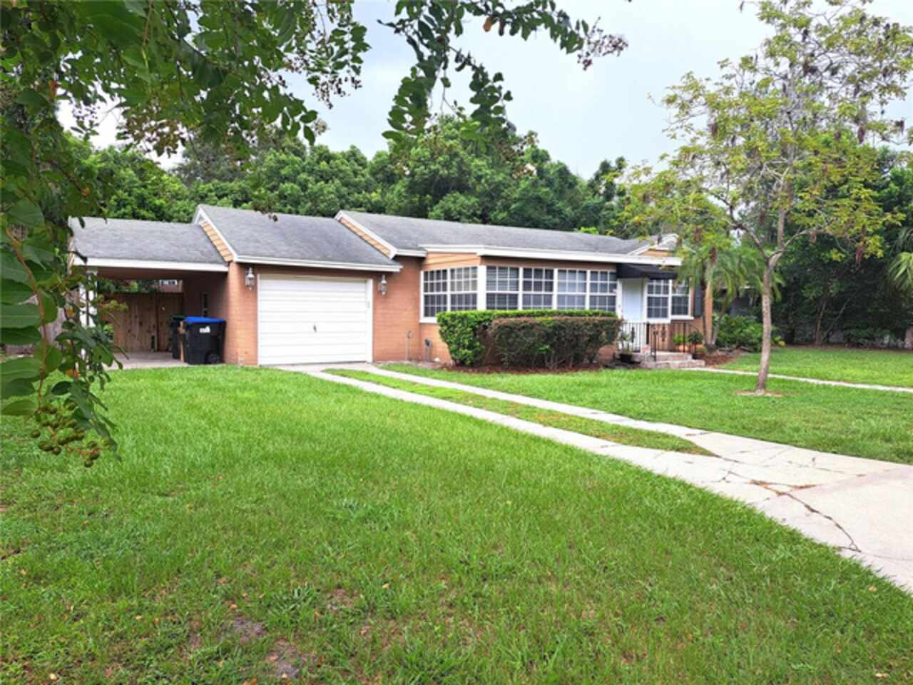 Winter Park Real Estate