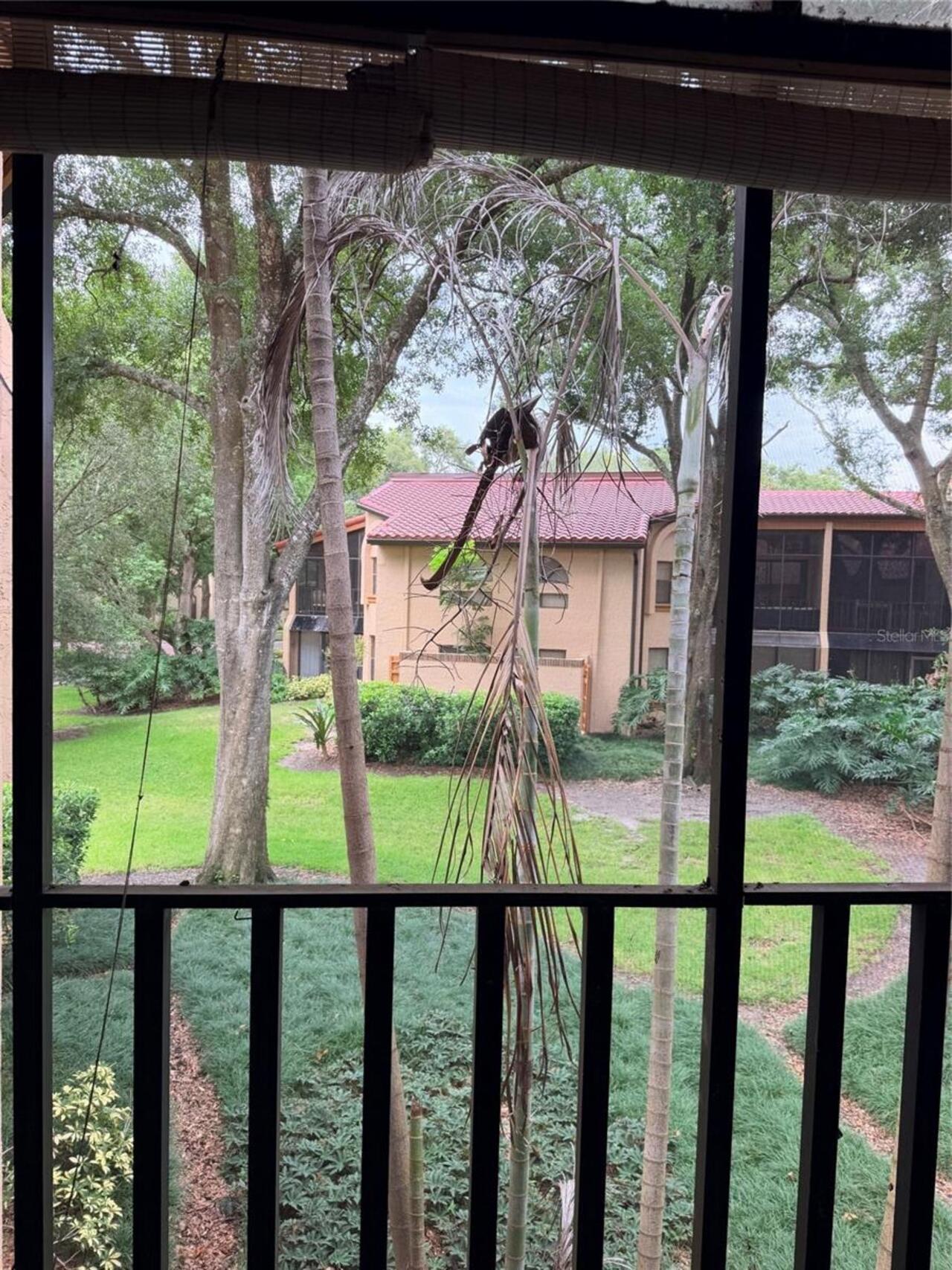 Listing Photo 21