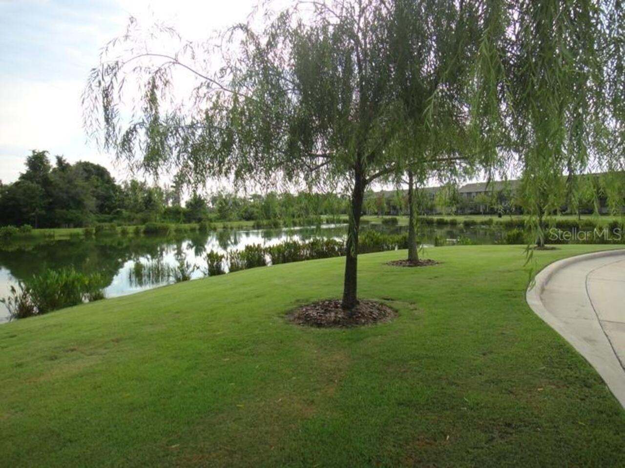 Listing Photo 25