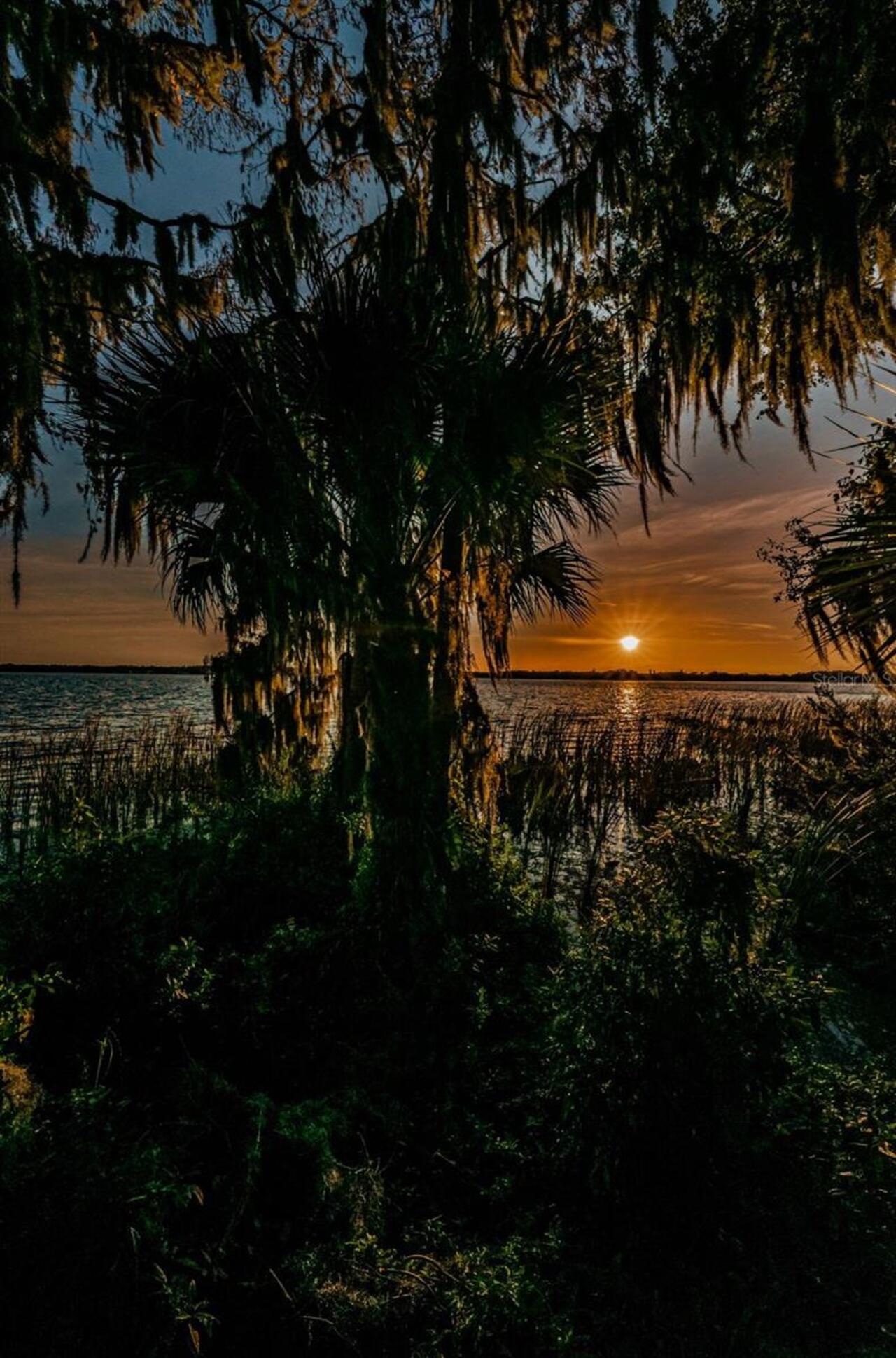 Listing Photo 74