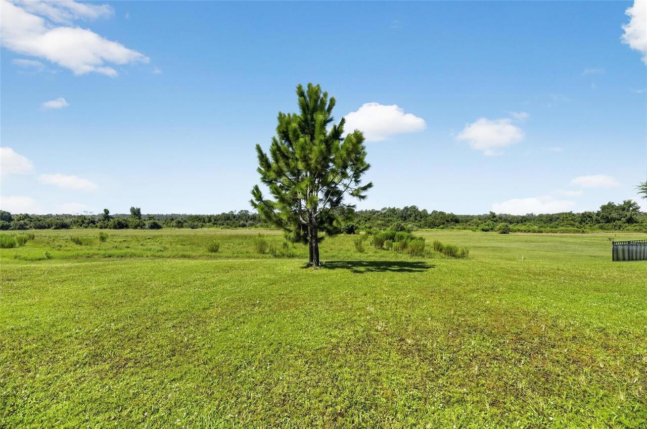 Listing Photo 75