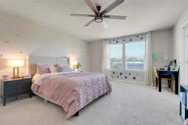 Listing Photo 20