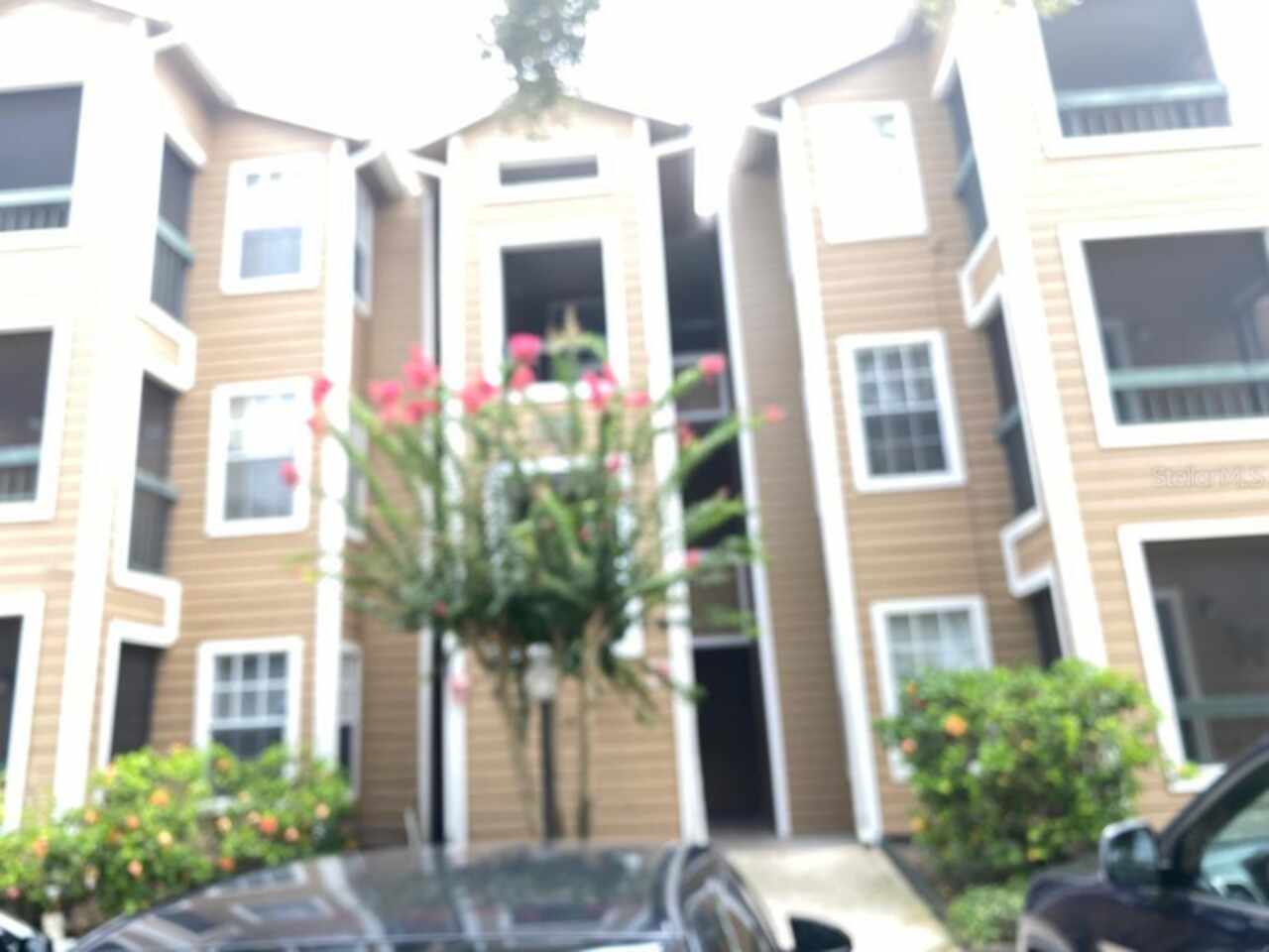 Orlando Real Estate