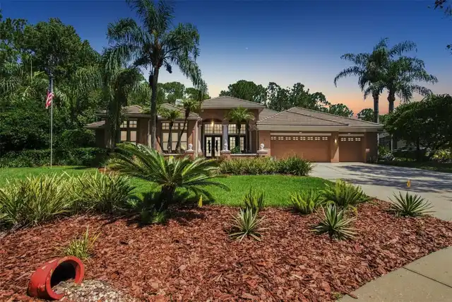 Tampa Real Estate