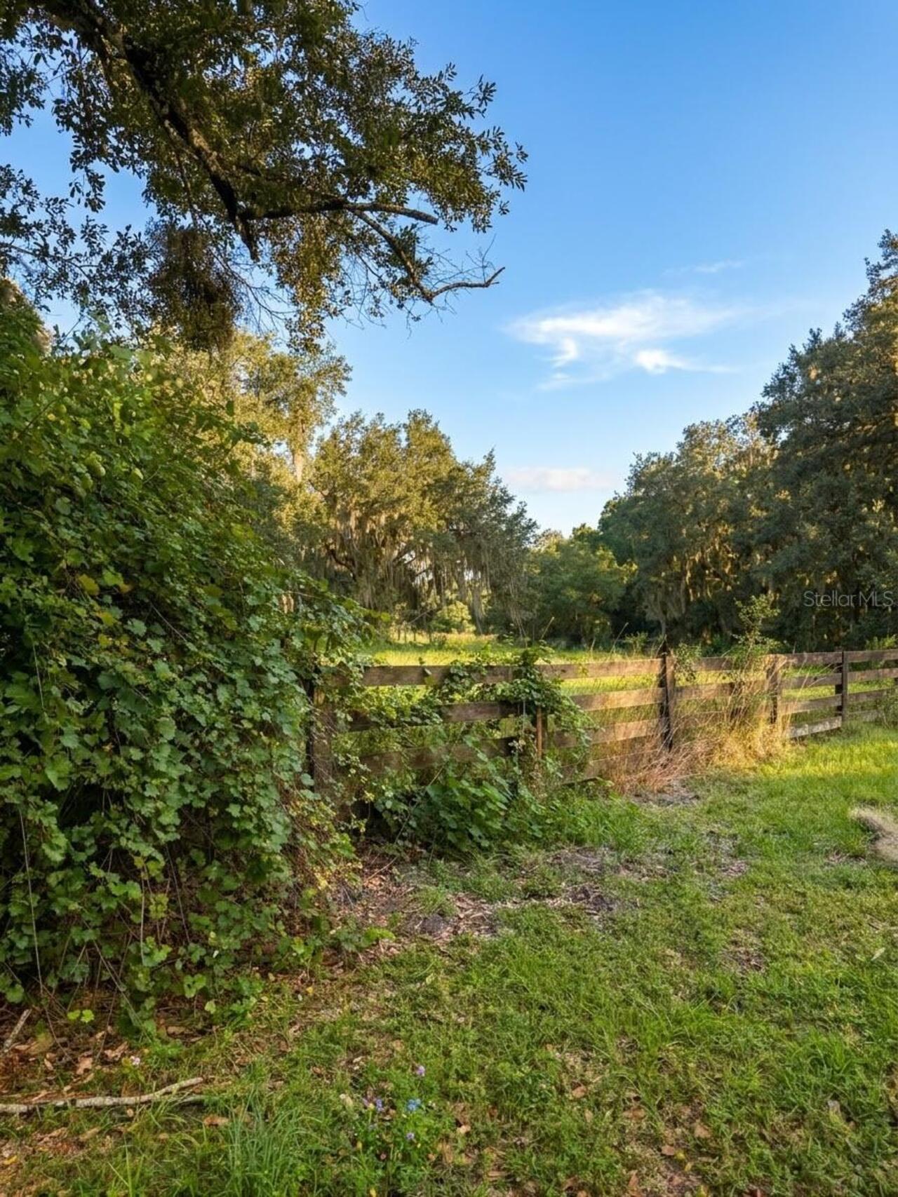 Listing Photo 17