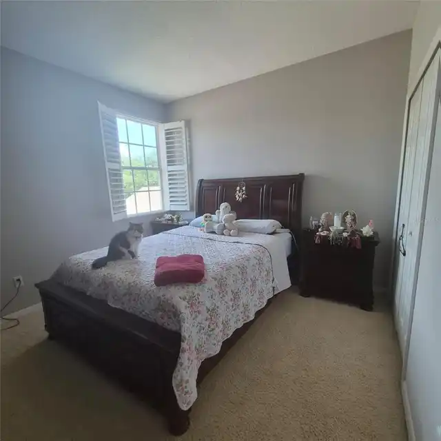 Listing Photo 16