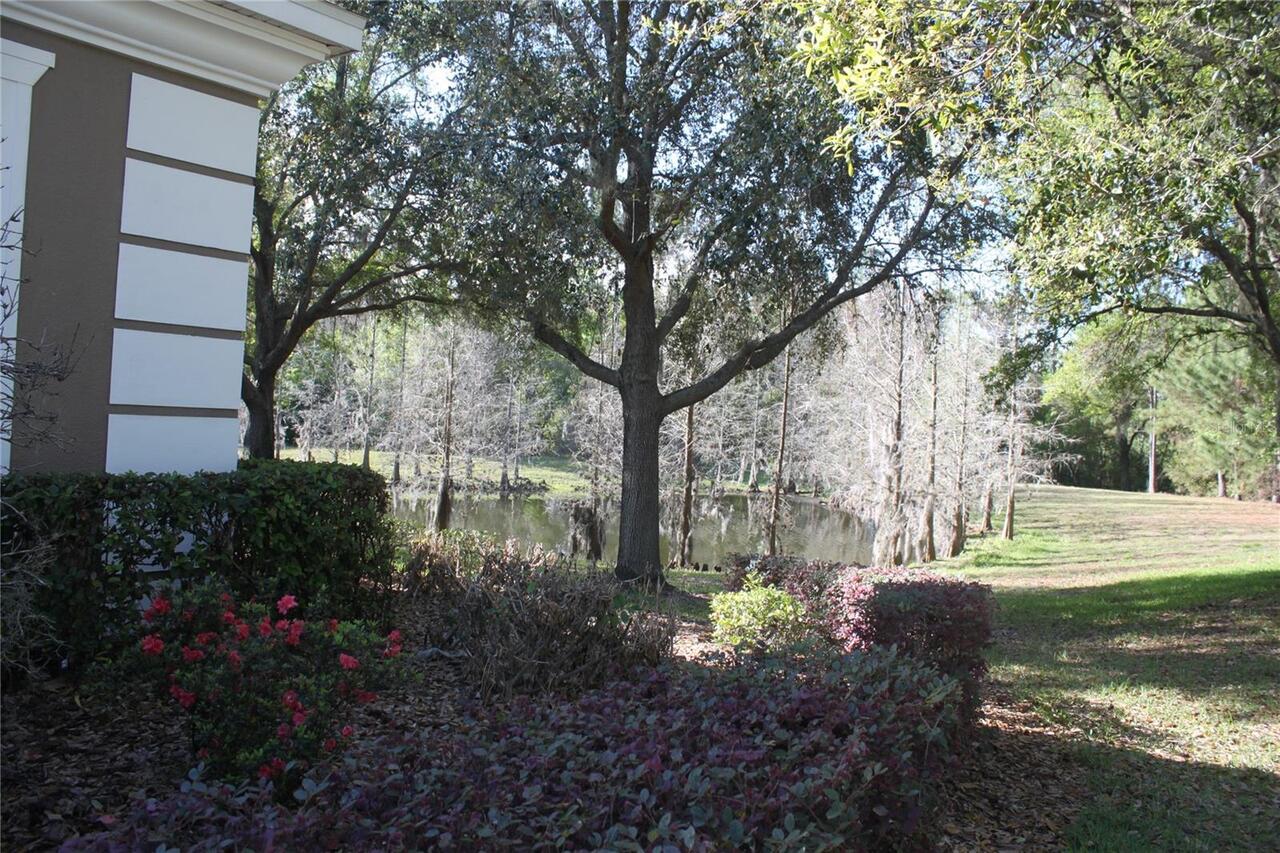 Listing Photo 22