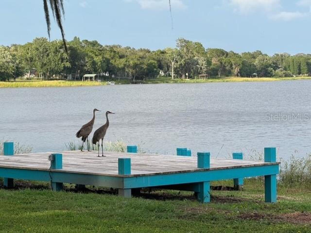 Listing Photo 65