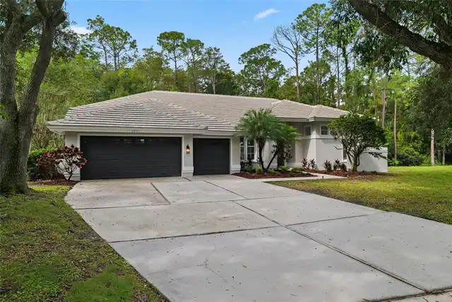 Palm Harbor Real Estate