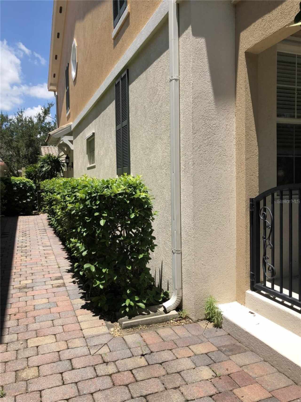 Orlando Real Estate