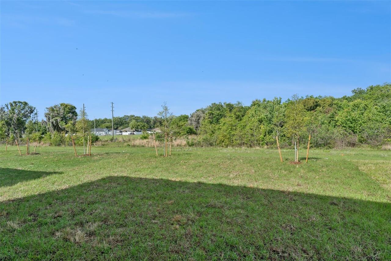 Listing Photo 24