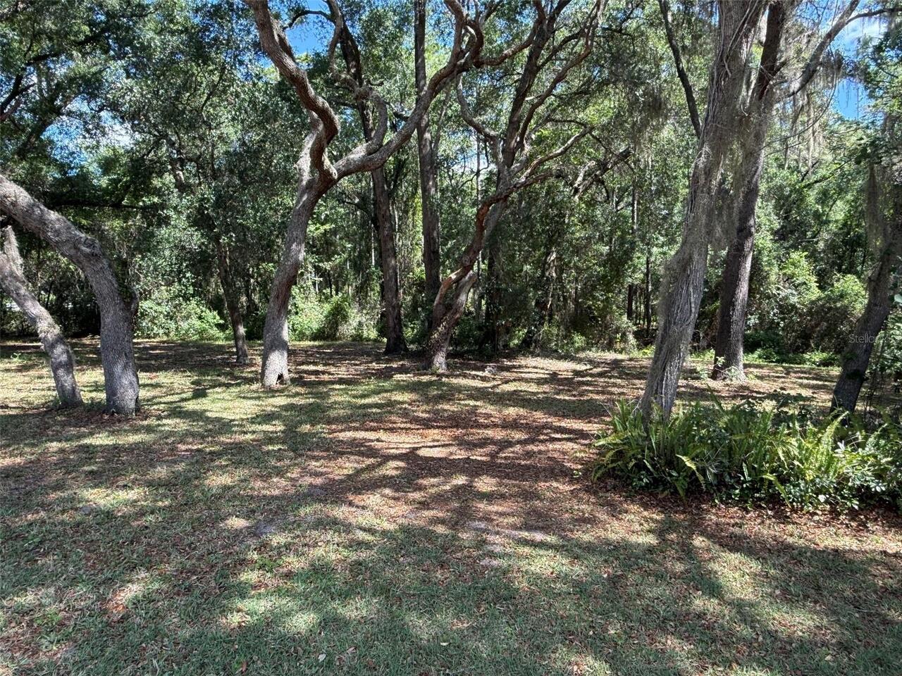 Listing Photo 20