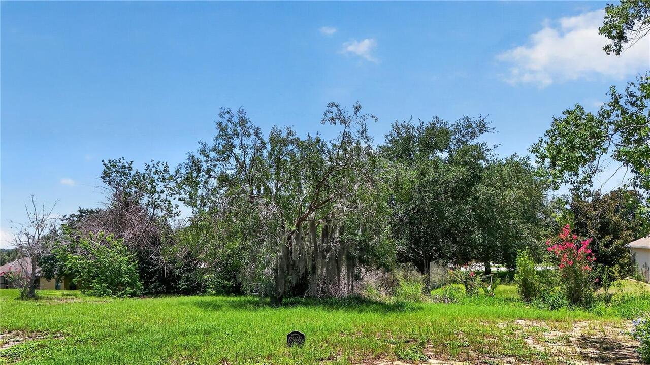 Listing Photo 47