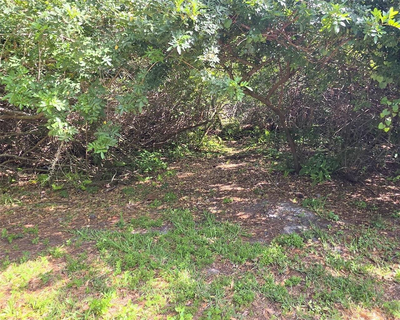 Listing Photo 23