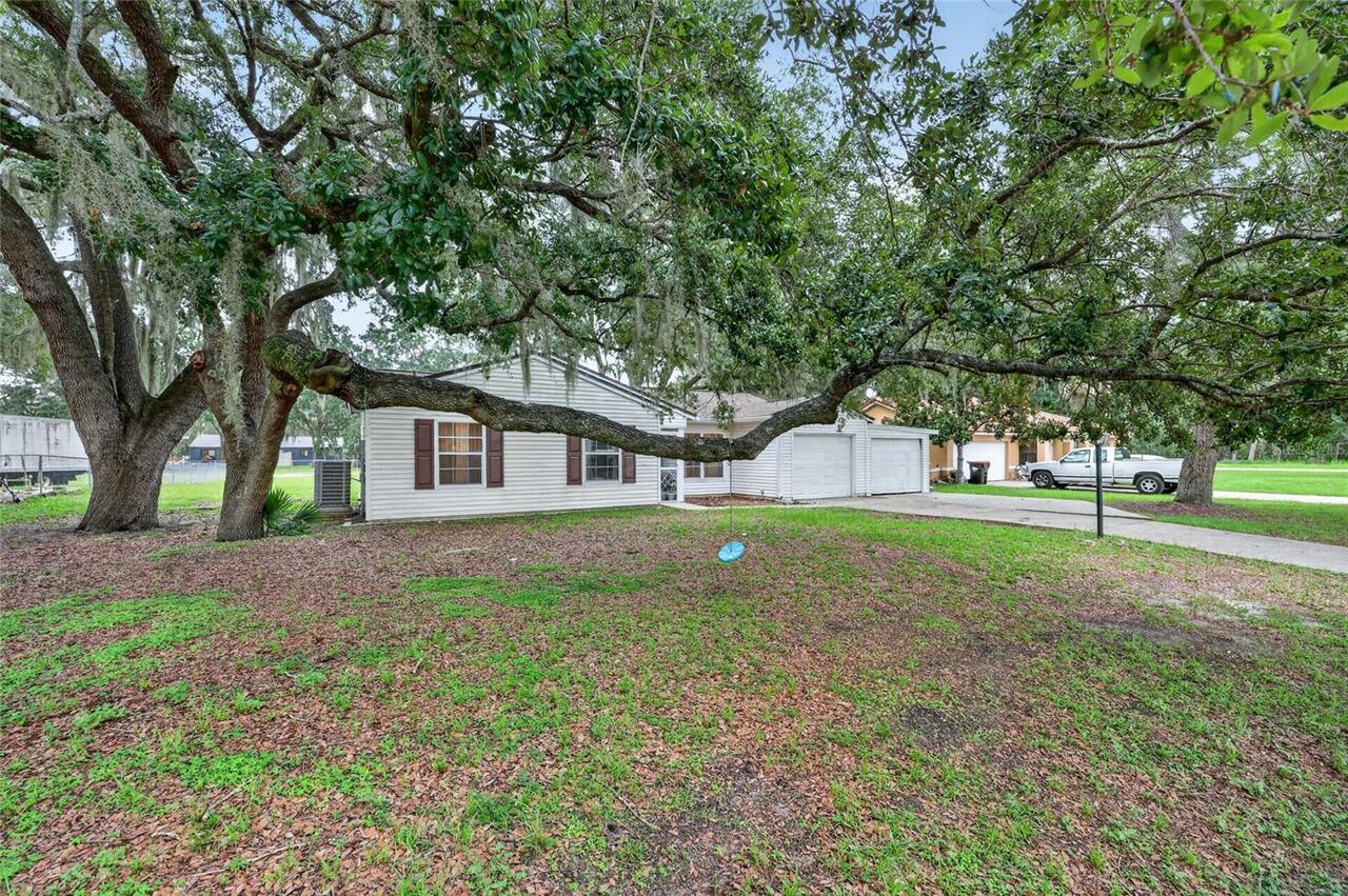 Listing Photo 34