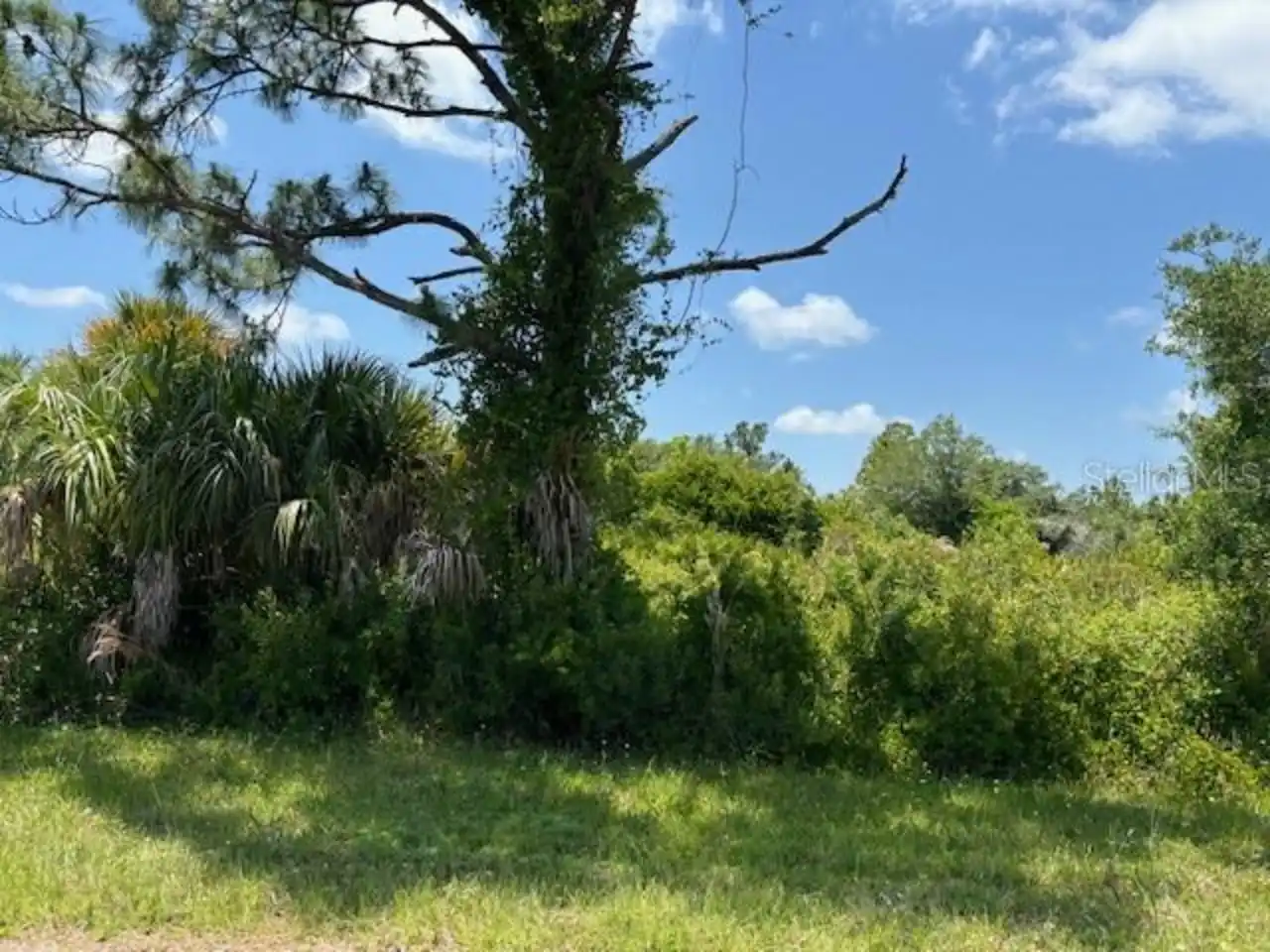 View Listing