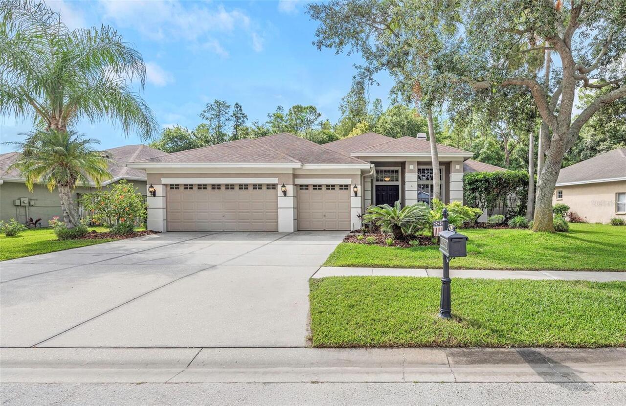 Tampa Real Estate