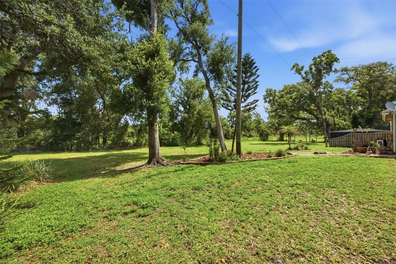 Listing Photo 64