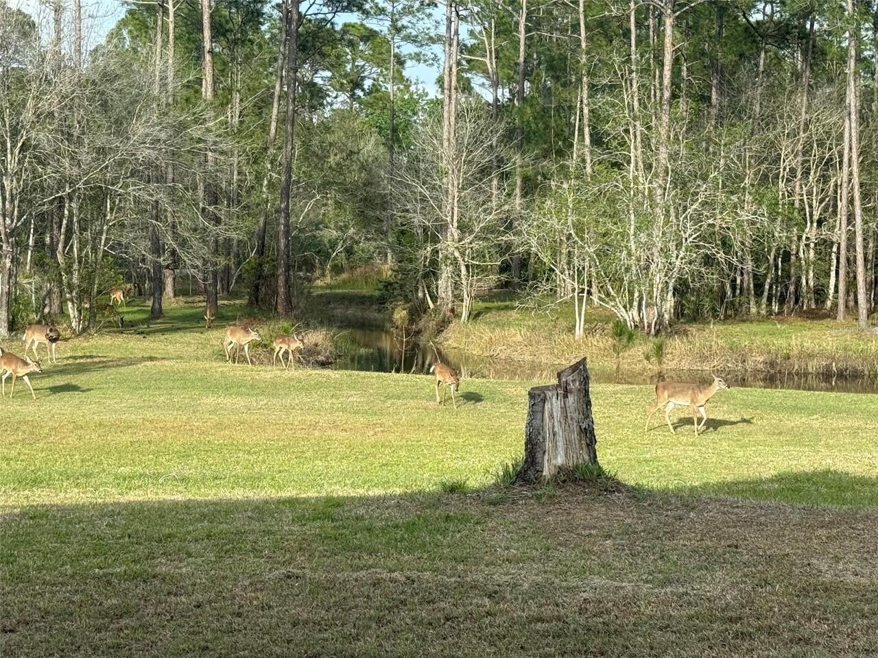 Listing Photo 70