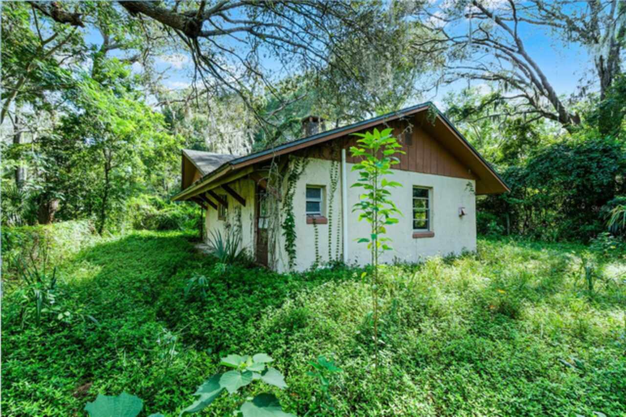 Orlando Real Estate