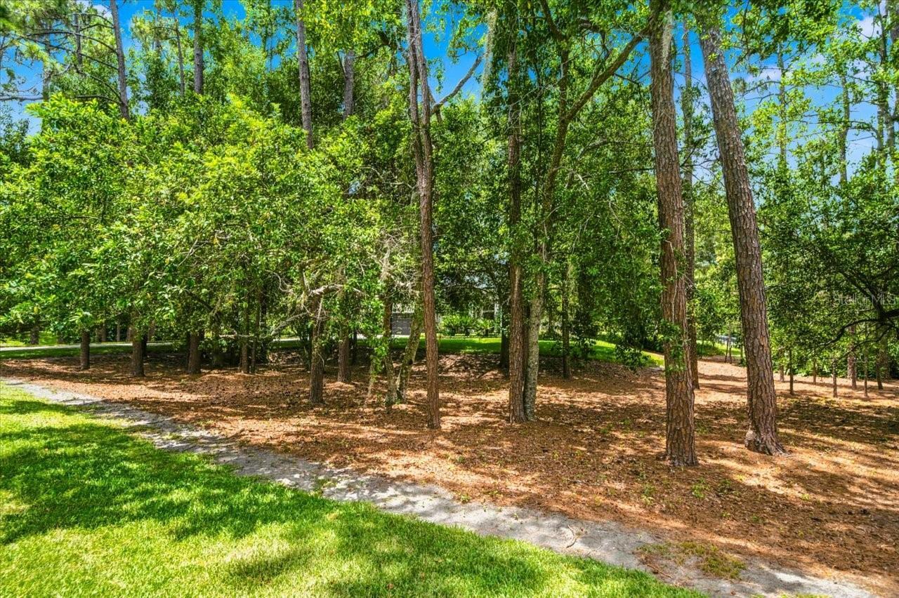 Listing Photo 52