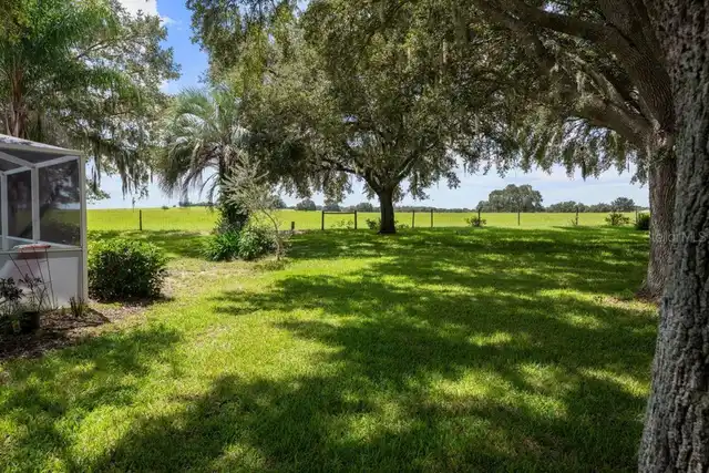 Listing Photo 42