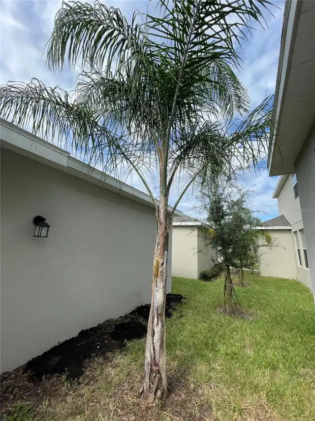 Listing Photo 19