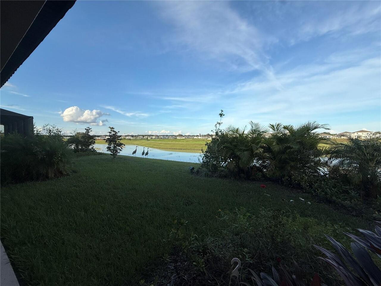 Listing Photo 43