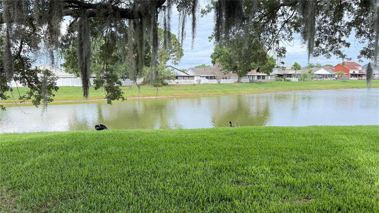 Kissimmee Real Estate