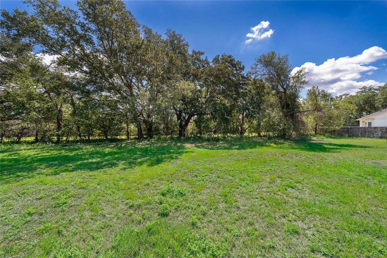 Listing Photo 25