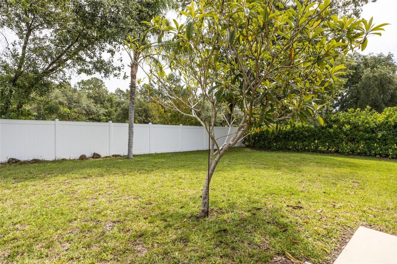 Listing Photo 14