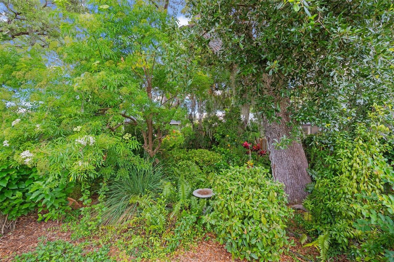 Listing Photo 62