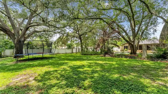 Listing Photo 41