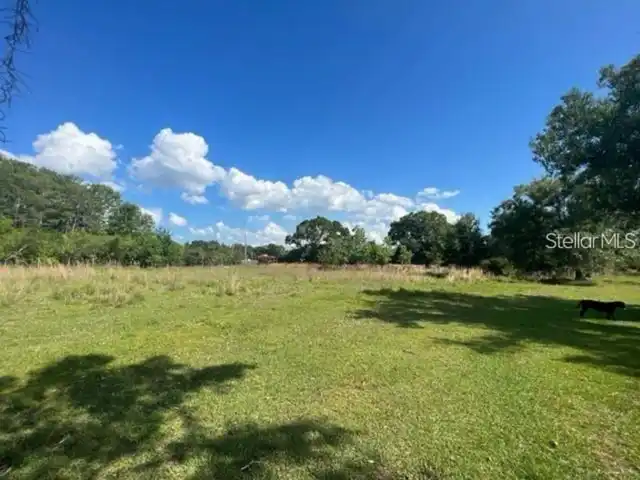 Listing Photo 12