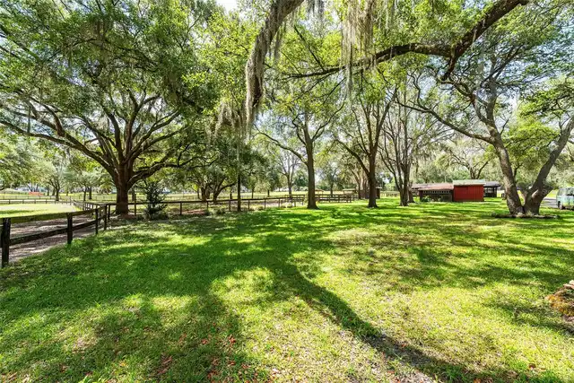 Listing Photo 61